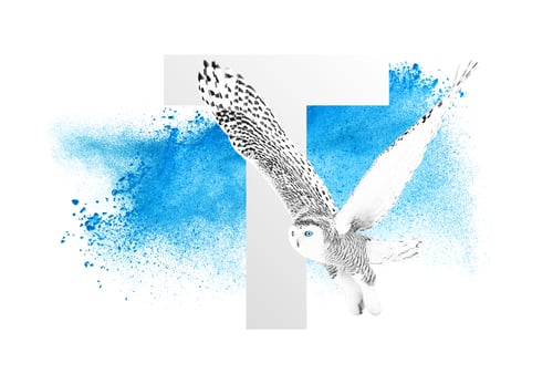 Canterbury Christ Church University enhance their student journey with SITS:Vision
