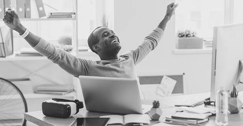 Ensuring success: Insights into rapid software implementations
