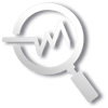 magnify icon